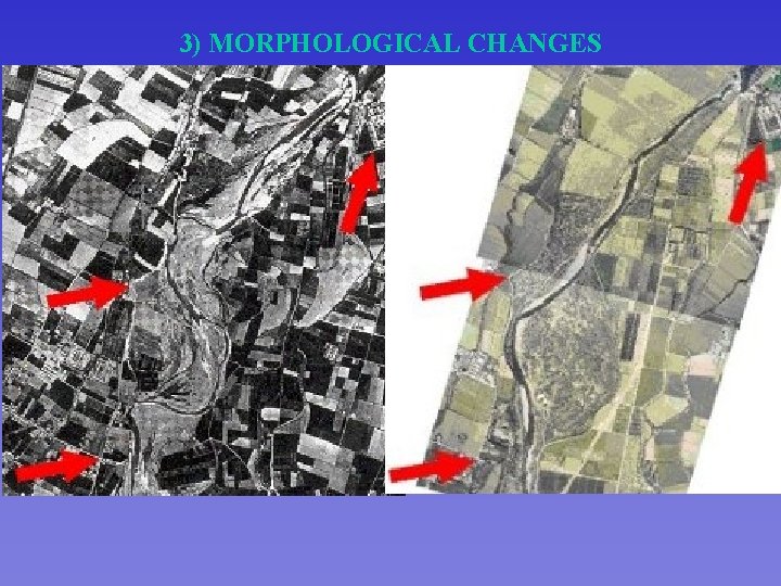 3) MORPHOLOGICAL CHANGES 1957 2004 