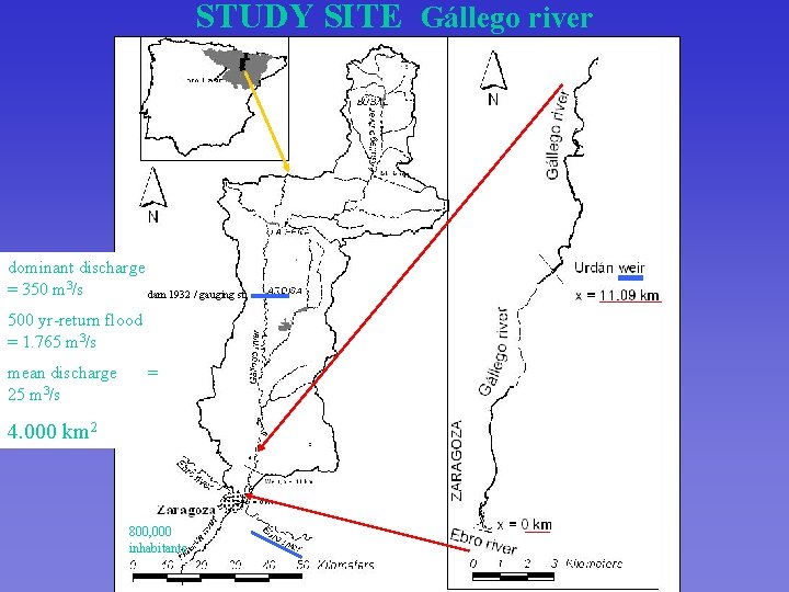STUDY SITE Gállego river dominant discharge = 350 m 3/s dam 1932 / gauging