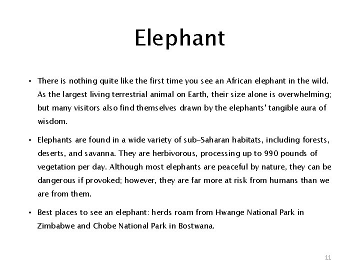 Elephant • There is nothing quite like the first time you see an African