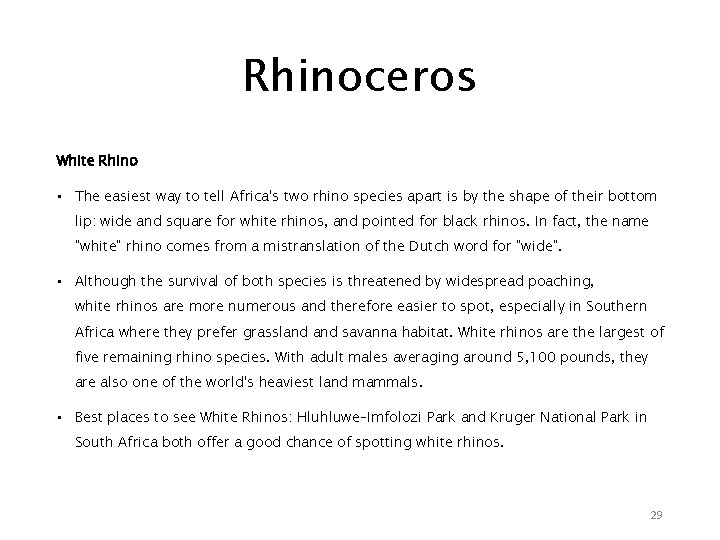 Rhinoceros White Rhino • The easiest way to tell Africa's two rhino species apart