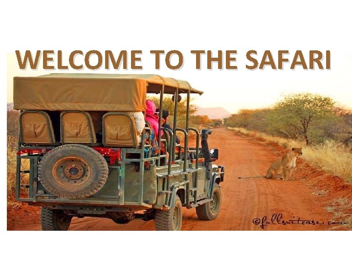 WELCOME TO THE SAFARI 