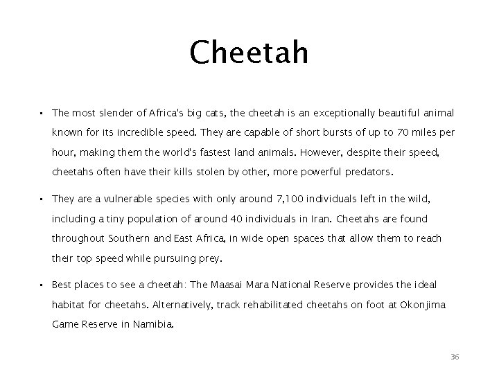 Cheetah • The most slender of Africa's big cats, the cheetah is an exceptionally