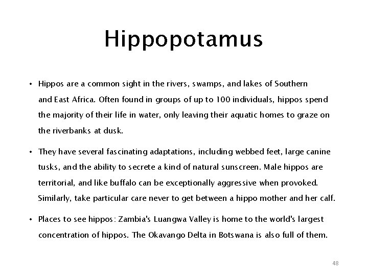 Hippopotamus • Hippos are a common sight in the rivers, swamps, and lakes of