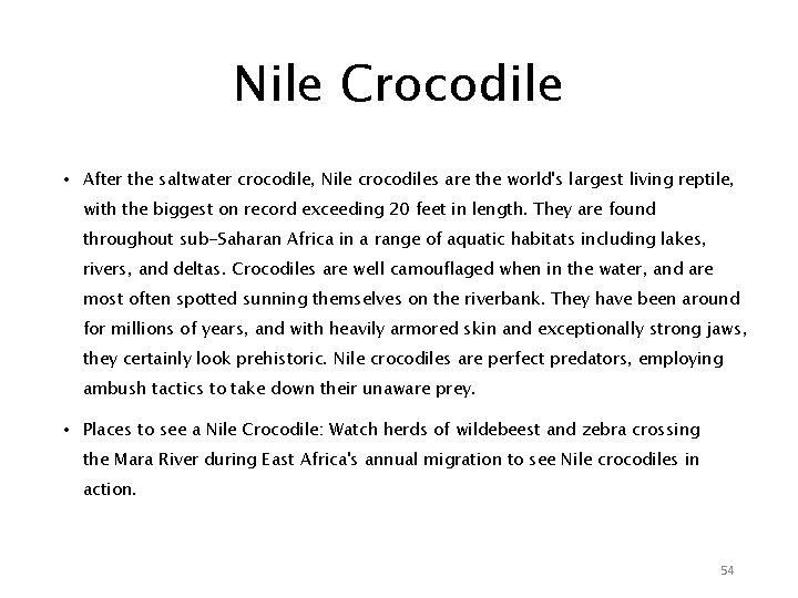 Nile Crocodile • After the saltwater crocodile, Nile crocodiles are the world's largest living