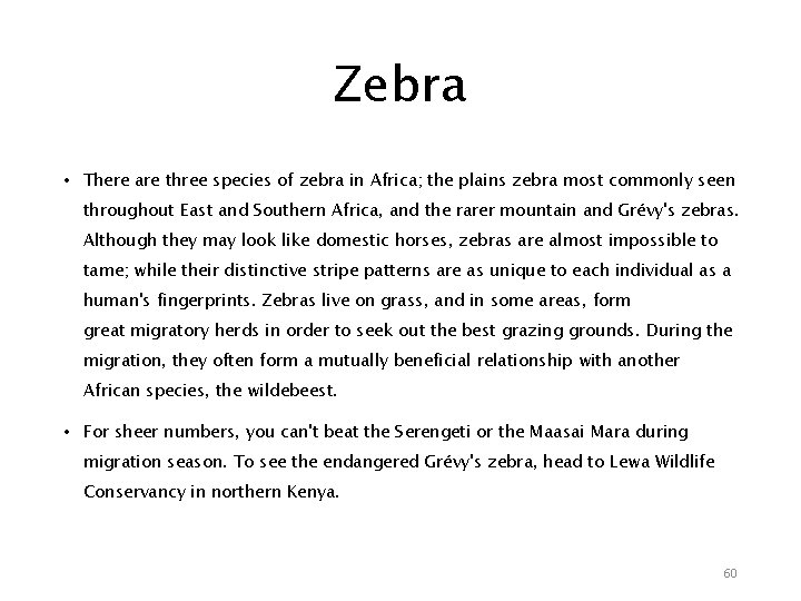 Zebra • There are three species of zebra in Africa; the plains zebra most