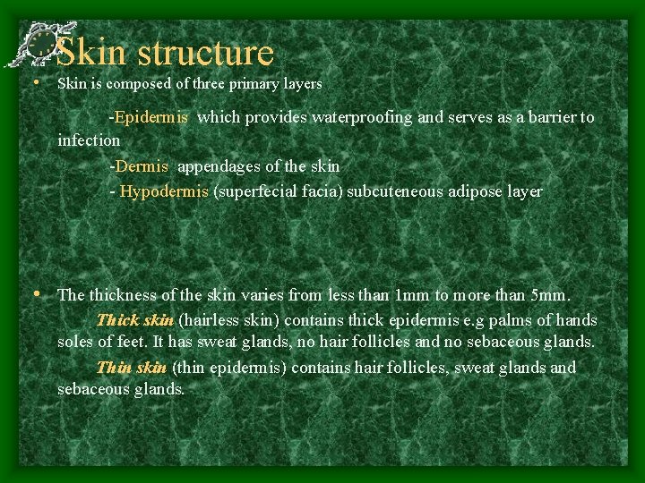 Skin structure • Skin is composed of three primary layers -Epidermis which provides waterproofing