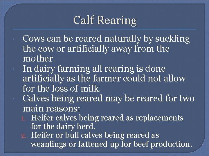 Calf Rearing Cows can be reared naturally by suckling the cow or artificially away