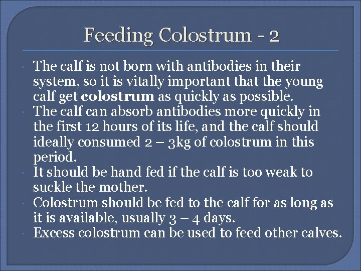 Feeding Colostrum - 2 The calf is not born with antibodies in their system,