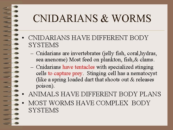 CNIDARIANS & WORMS • CNIDARIANS HAVE DIFFERENT BODY SYSTEMS – Cnidarians are invertebrates (jelly
