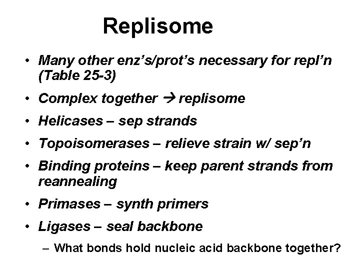 Replisome • Many other enz’s/prot’s necessary for repl’n (Table 25 -3) • Complex together