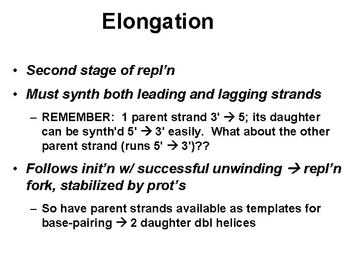 Elongation • Second stage of repl’n • Must synth both leading and lagging strands