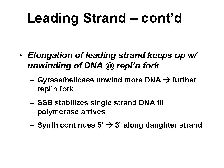 Leading Strand – cont’d • Elongation of leading strand keeps up w/ unwinding of