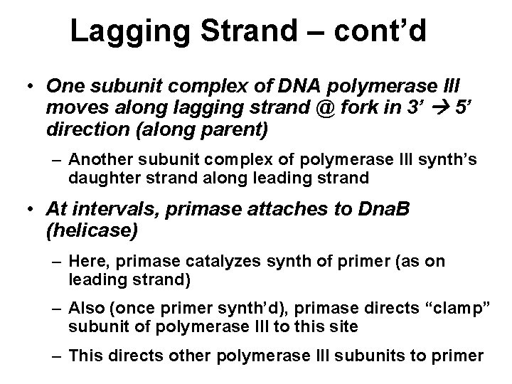 Lagging Strand – cont’d • One subunit complex of DNA polymerase III moves along