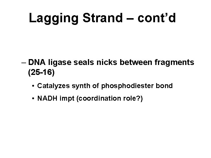 Lagging Strand – cont’d – DNA ligase seals nicks between fragments (25 -16) •