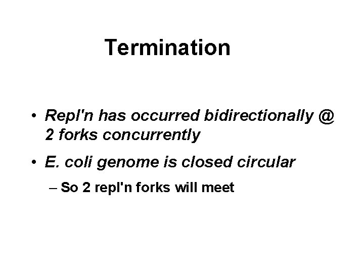Termination • Repl'n has occurred bidirectionally @ 2 forks concurrently • E. coli genome