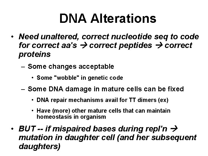 DNA Alterations • Need unaltered, correct nucleotide seq to code for correct aa's correct