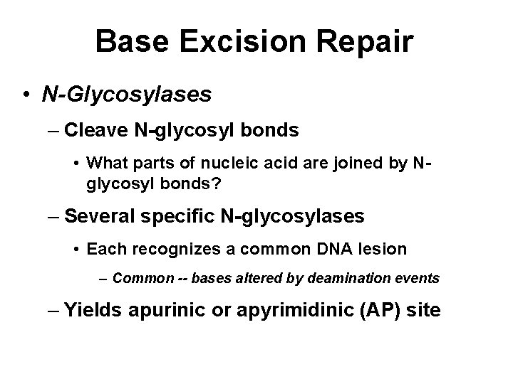 Base Excision Repair • N-Glycosylases – Cleave N-glycosyl bonds • What parts of nucleic