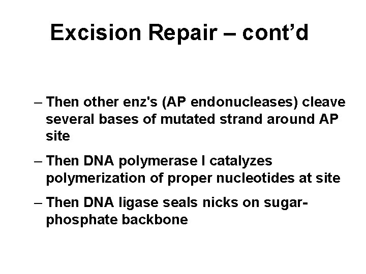 Excision Repair – cont’d – Then other enz's (AP endonucleases) cleave several bases of
