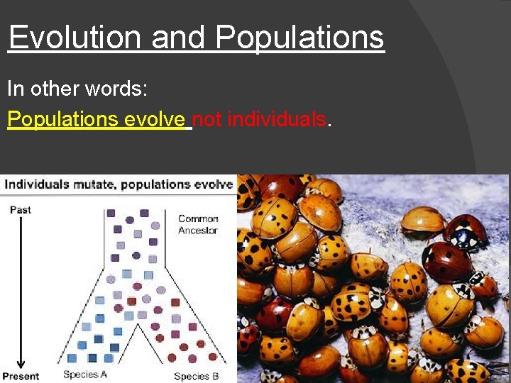 Evolution and Populations In other words: Populations evolve not individuals. 