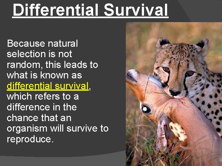 Differential Survival Because natural selection is not random, this leads to what is known