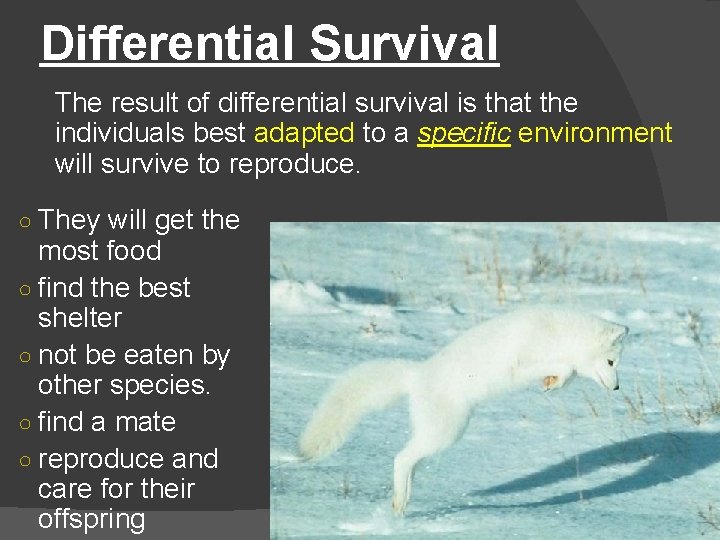 Differential Survival The result of differential survival is that the individuals best adapted to