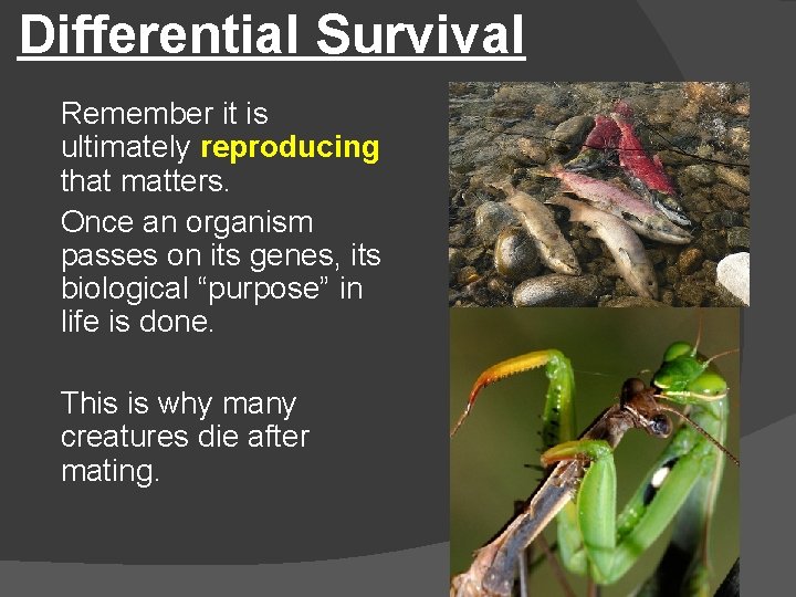 Differential Survival Remember it is ultimately reproducing that matters. Once an organism passes on