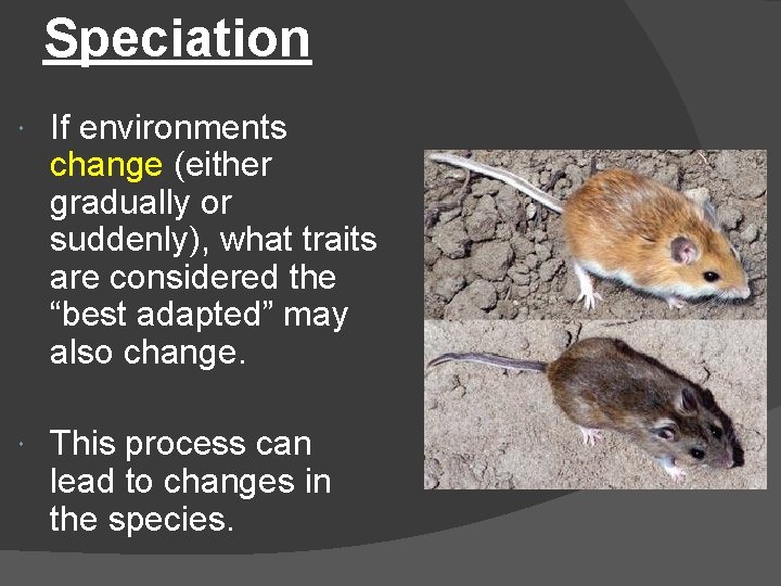 Speciation If environments change (either gradually or suddenly), what traits are considered the “best