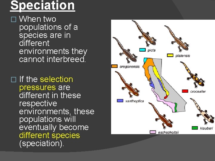 Speciation � When two populations of a species are in different environments they cannot