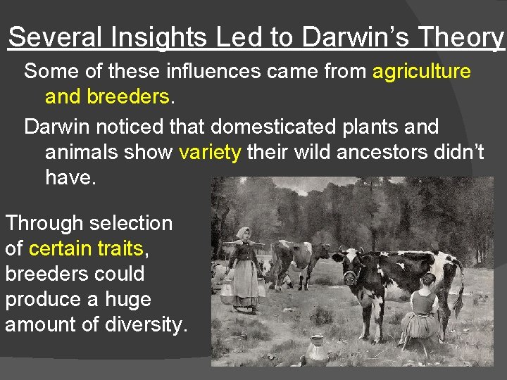 Several Insights Led to Darwin’s Theory Some of these influences came from agriculture and