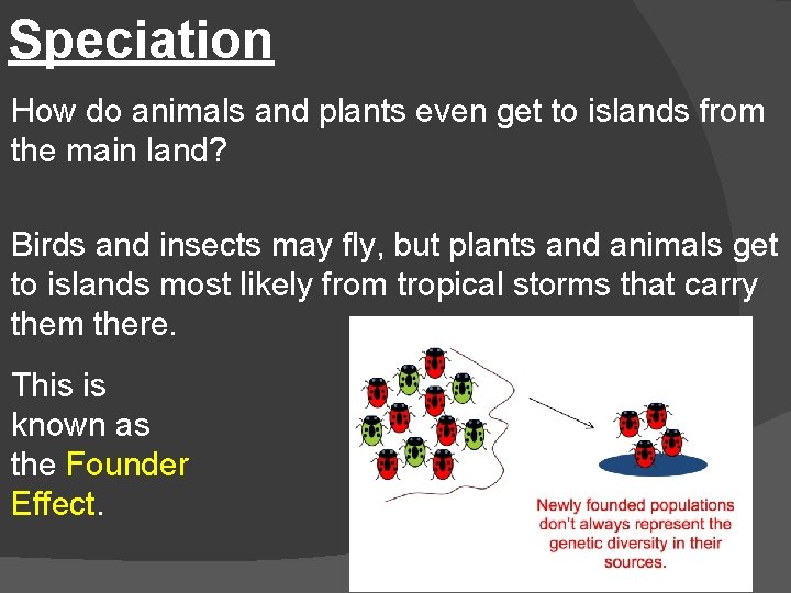 Speciation How do animals and plants even get to islands from the main land?