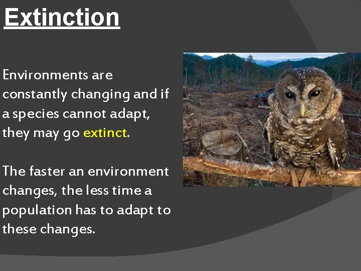 Extinction Environments are constantly changing and if a species cannot adapt, they may go