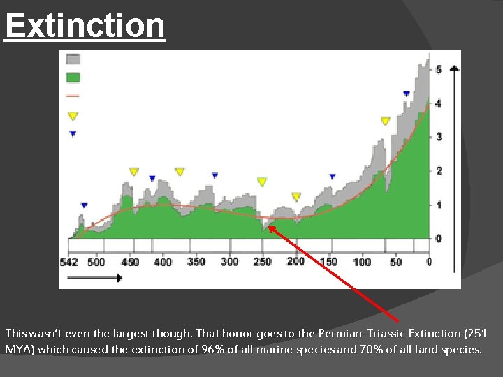 Extinction This wasn’t even the largest though. That honor goes to the Permian-Triassic Extinction
