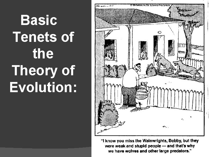 Basic Tenets of the Theory of Evolution: 