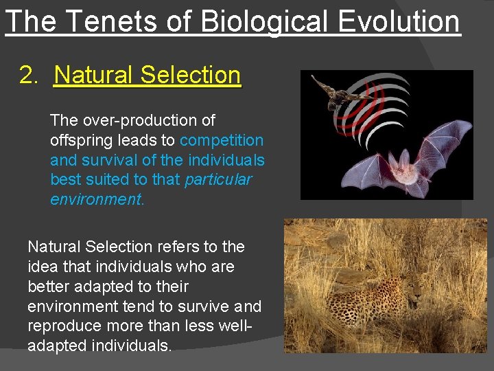 The Tenets of Biological Evolution 2. Natural Selection The over-production of offspring leads to