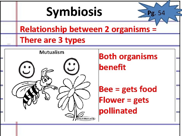 Symbiosis Pg. 54 Relationship between 2 organisms = There are 3 types Both organisms Symbiosis Pg. 54 Relationship between 2 organisms = There are 3 types Both organisms