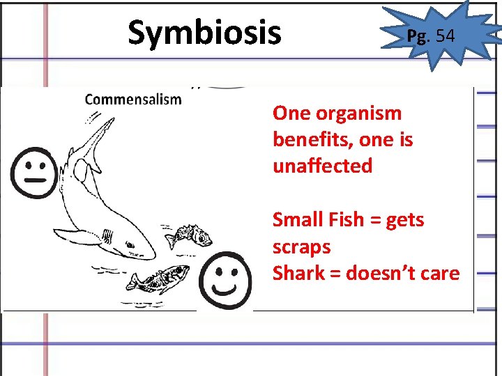 Symbiosis Pg. 54 One organism benefits, one is unaffected Small Fish = gets scraps Symbiosis Pg. 54 One organism benefits, one is unaffected Small Fish = gets scraps