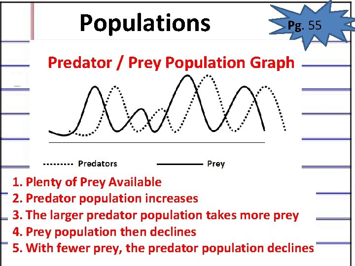 Populations Pg. 55 Predator / Prey Population Graph 1. Plenty of Prey Available 2. Populations Pg. 55 Predator / Prey Population Graph 1. Plenty of Prey Available 2.