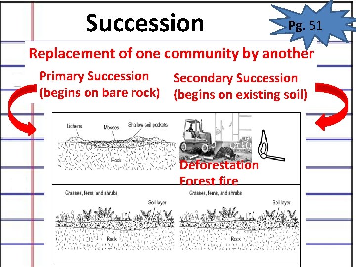 Succession Pg. 51 Replacement of one community by another Primary Succession Secondary Succession (begins Succession Pg. 51 Replacement of one community by another Primary Succession Secondary Succession (begins