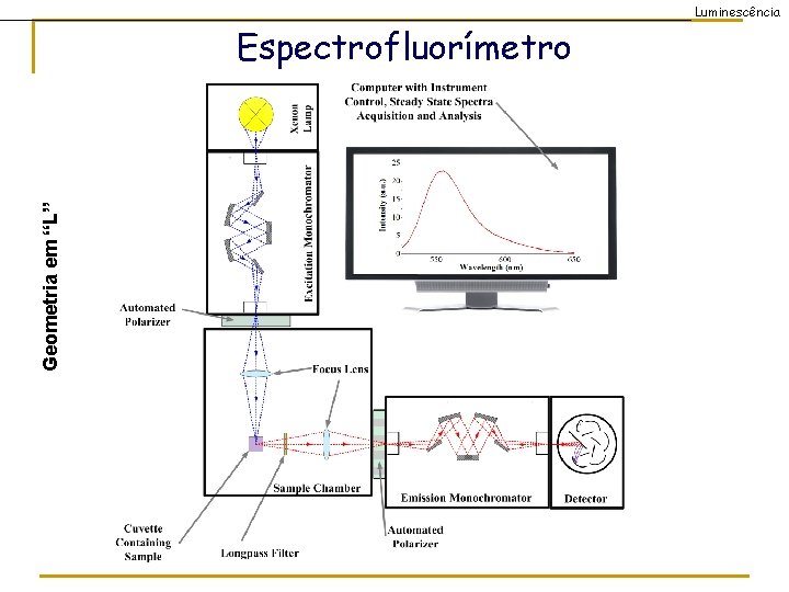 Luminescência Geometria em “L” Espectrofluorímetro 