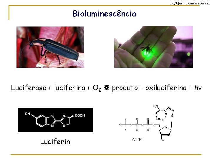 Bio/Quimioluminescência Bioluminescência Luciferase + luciferina + O 2 produto + oxiluciferina + hv Luciferin