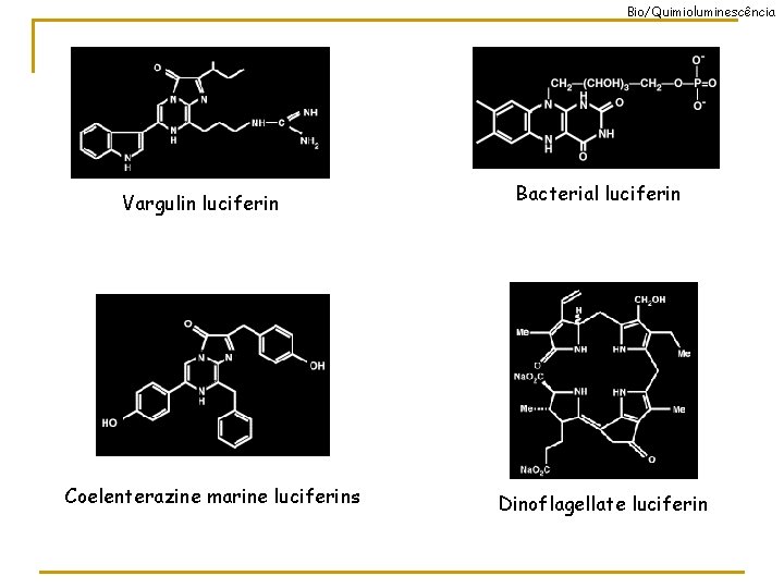 Bio/Quimioluminescência Vargulin luciferin Coelenterazine marine luciferins Bacterial luciferin Dinoflagellate luciferin 