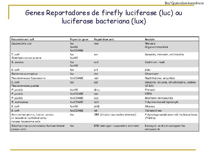 Bio/Quimioluminescência Genes Reportadores de firefly luciferase (luc) ou luciferase bacteriana (lux) 