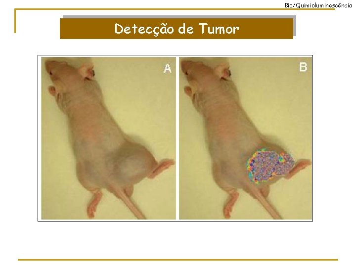 Bio/Quimioluminescência Detecção de Tumor 