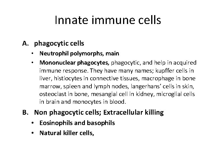 Innate immune cells A. phagocytic cells • Neutrophil polymorphs, main • Mononuclear phagocytes, phagocytic,