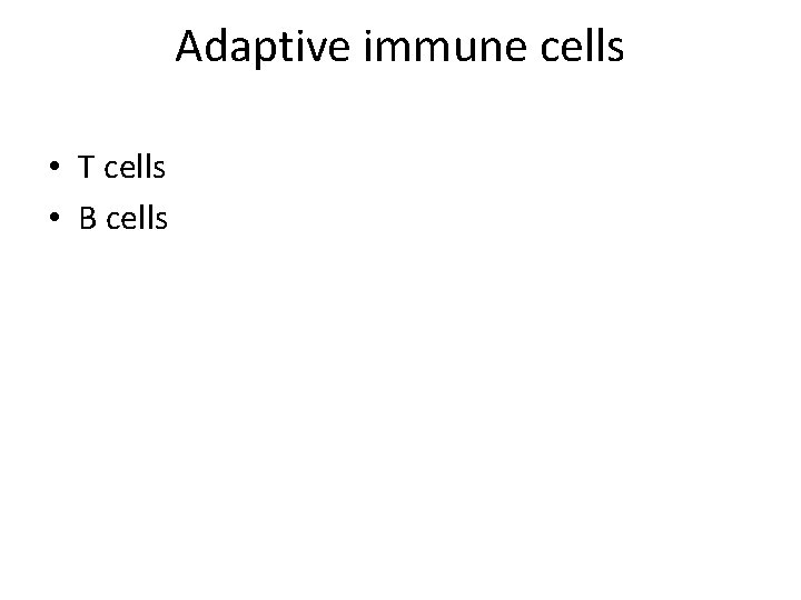 Adaptive immune cells • T cells • B cells 