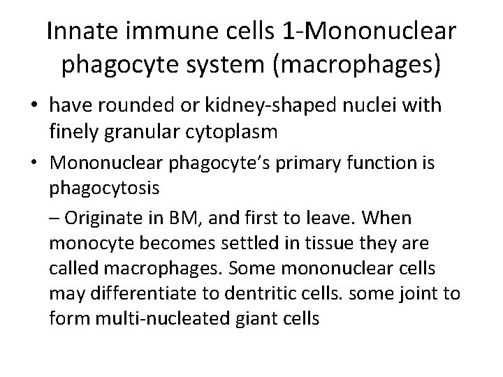 Innate immune cells 1 -Mononuclear phagocyte system (macrophages) • have rounded or kidney-shaped nuclei