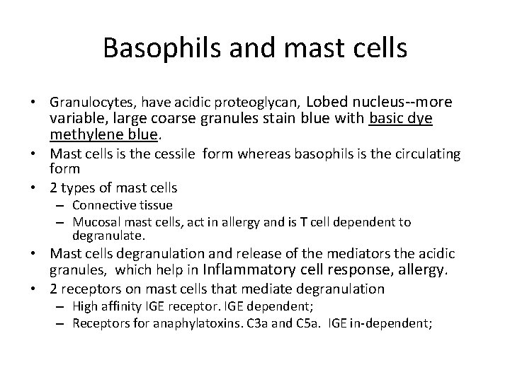 Basophils and mast cells • Granulocytes, have acidic proteoglycan, Lobed nucleus--more variable, large coarse
