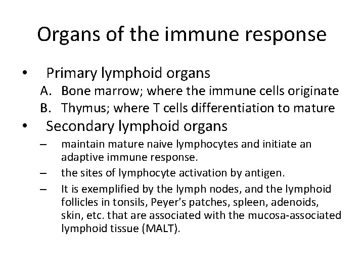 Organs of the immune response • Primary lymphoid organs A. Bone marrow; where the