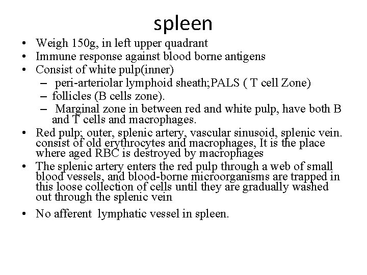 spleen • Weigh 150 g, in left upper quadrant • Immune response against blood