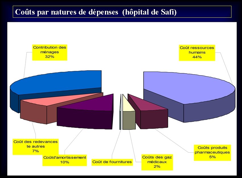 Coûts par natures de dépenses (hôpital de Safi) 